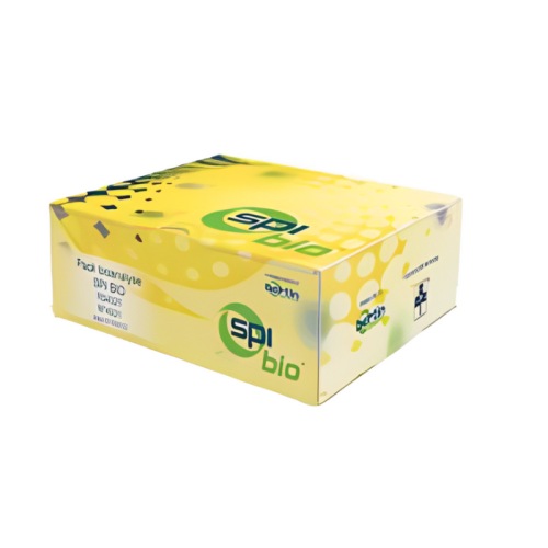ELISA kit : Angiotensin ELISA kit : Angiotensin